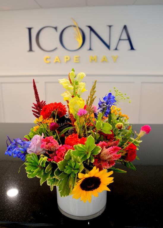 Icona קייפ מאי מראה חיצוני תמונה